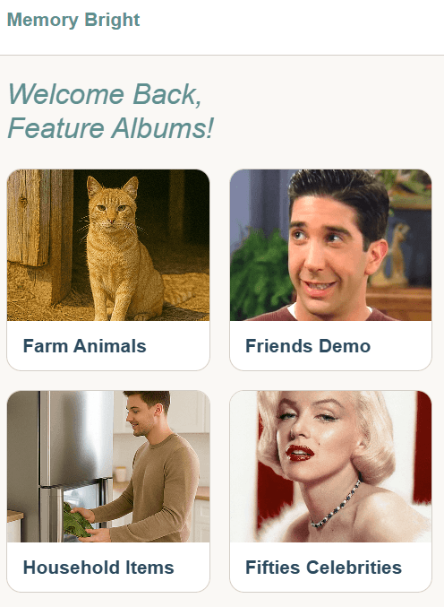 Feature Albums for Memory Activities