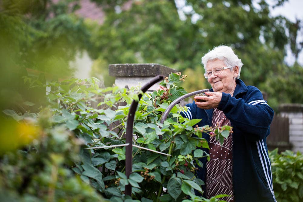 Creating a supportive environment for dementia care