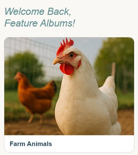 Memory Bright Feature Albums demo with curated therapeutic memory sessions